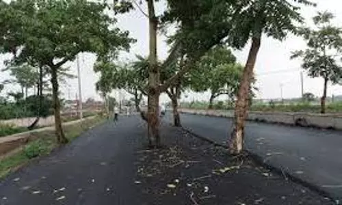 bihar