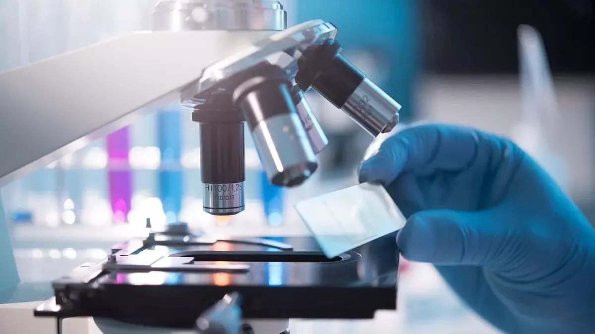 Scientists discover proteins that could halt cancer growth, slow ageing