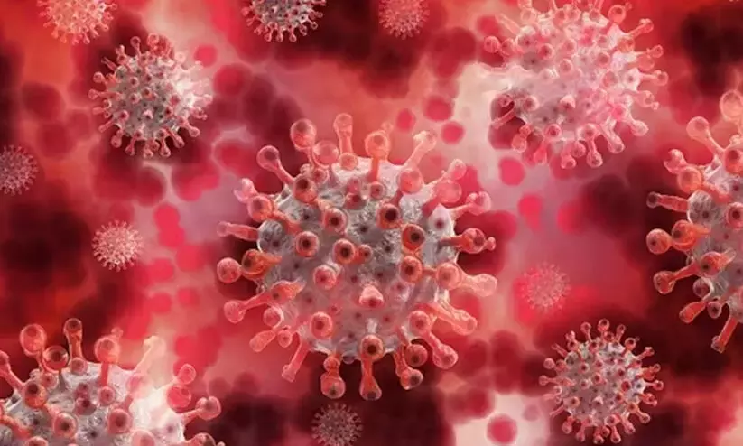 425 under surveillance as Kerala faces fresh Nipah outbreak