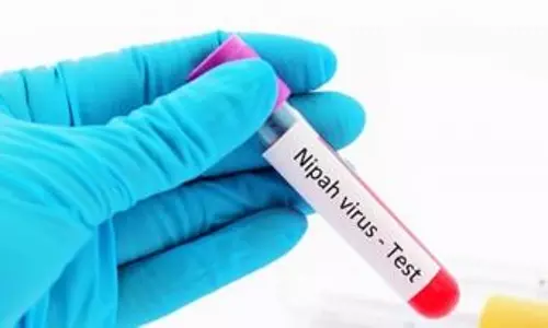 Tracing, surveillance stepped up in Kerala after second suspected Nipah death