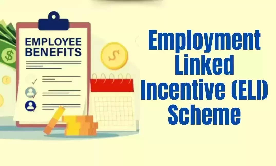Who benefits from the E.L.I. scheme?