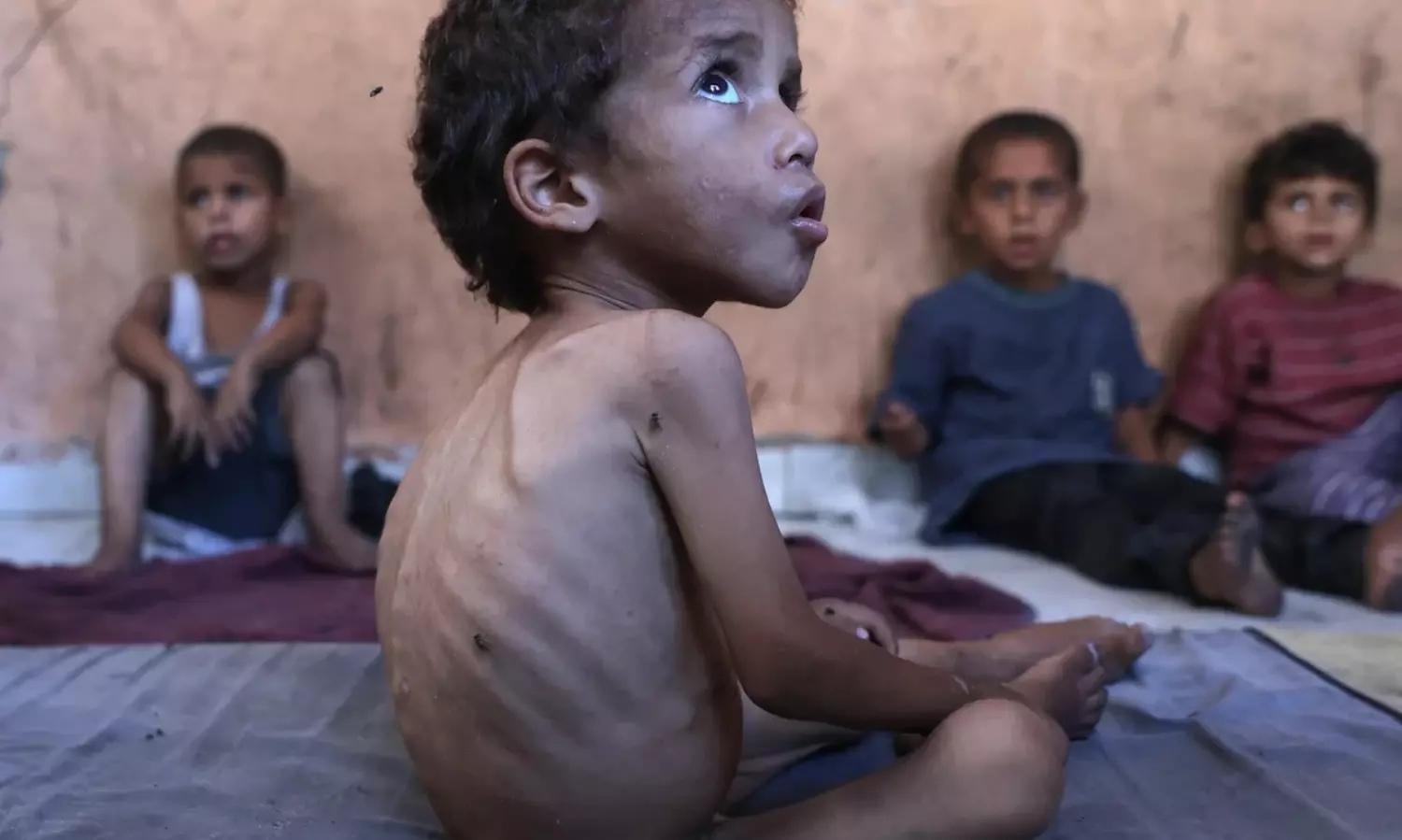 UN warns of deepening starvation crisis as Gaza edges towards collapse
