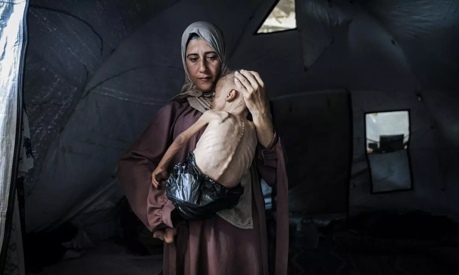 France–Saudi summit for Palestinian state as Gaza faces acute starvation