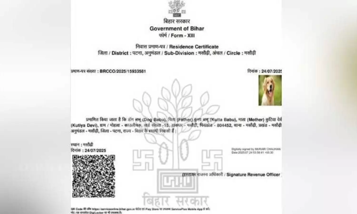 Dog Babu gets residence certificate in Patna; FIRs against officials