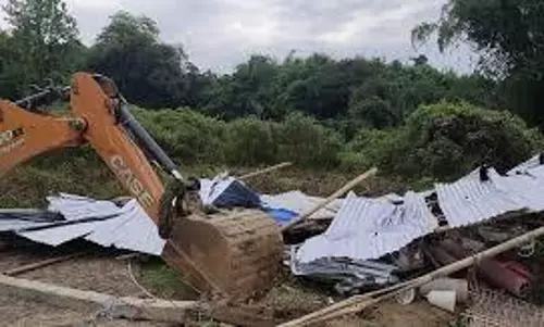 encroached forest land in the Rengma Reserve Forest