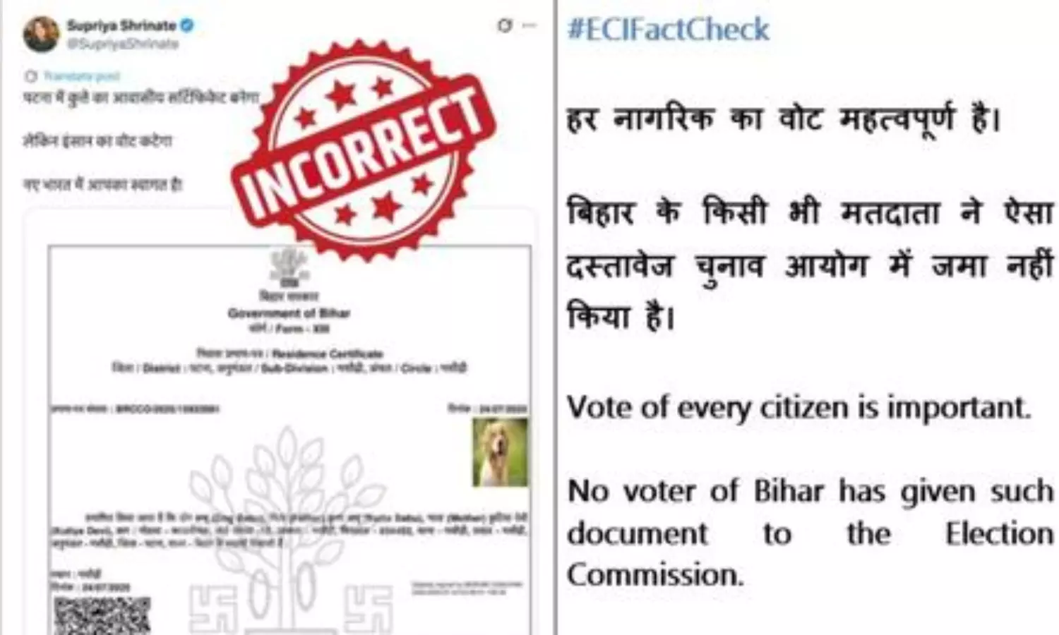 ECI refutes viral claim of dog registered as voter in Bihar