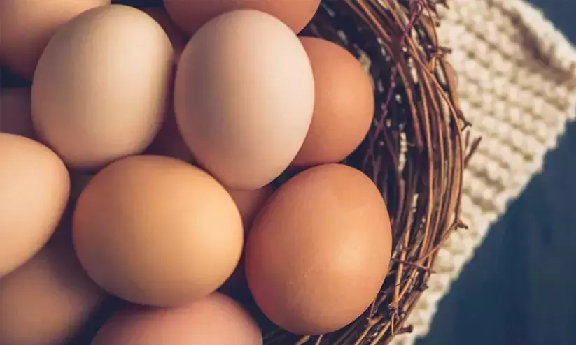 Eggs do not increase bad cholesterol! Study debunks myth!!