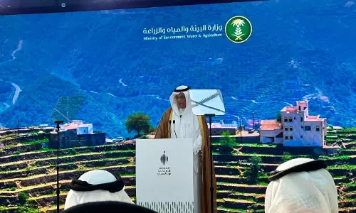 Saudi Arabia to build 1,000 rainwater dams to boost water sustainability