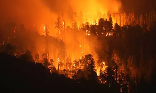 Wildfire rages on at US Grand Canyon National Park, over 470 sq km scorched