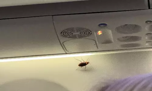 Cockroaches found on Air India’s San Francisco-Mumbai flight; probe ordered