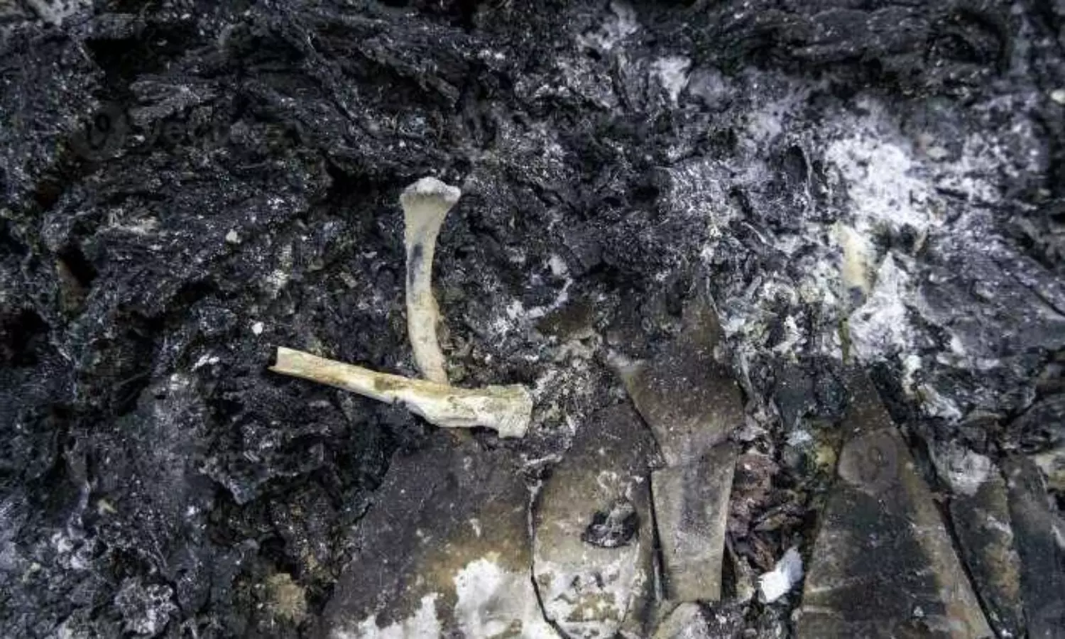 Police recover 20 pieces of charred bones from Kerala mans property