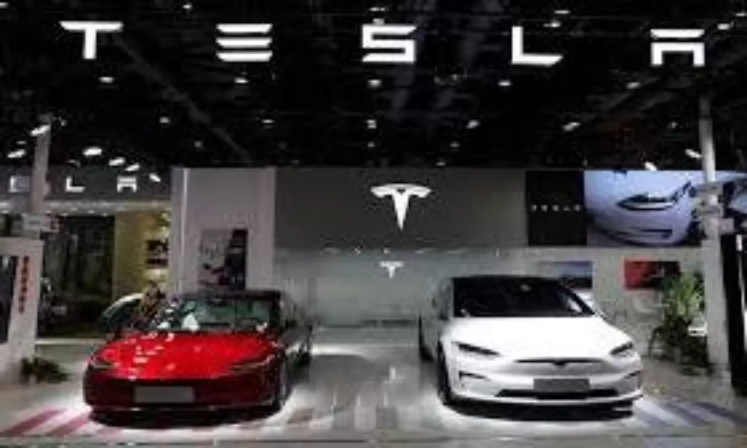 Tesla delhi