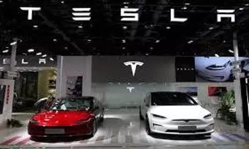 Tesla delhi
