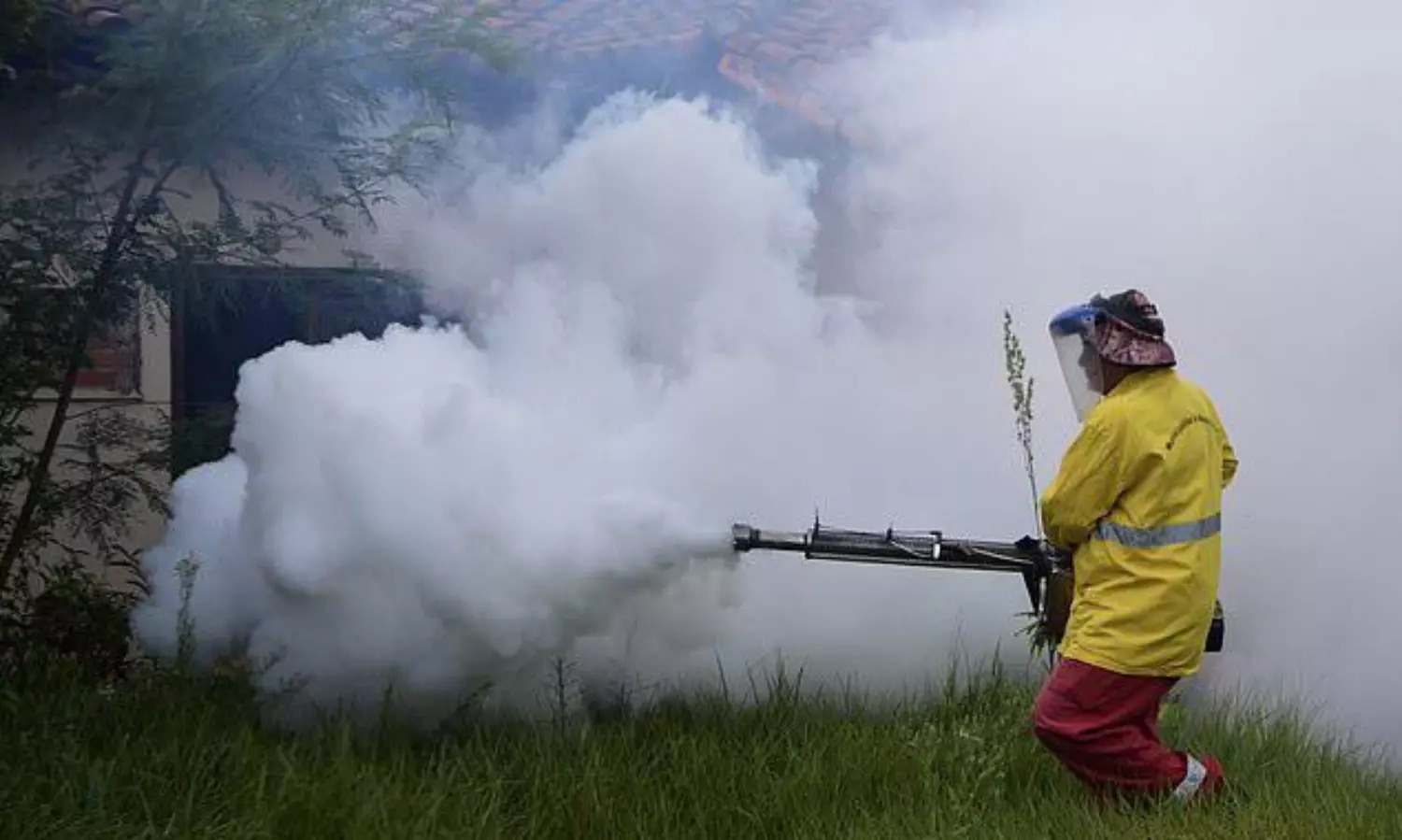China battles Chikungunya virus outbreak as cases top 7,000