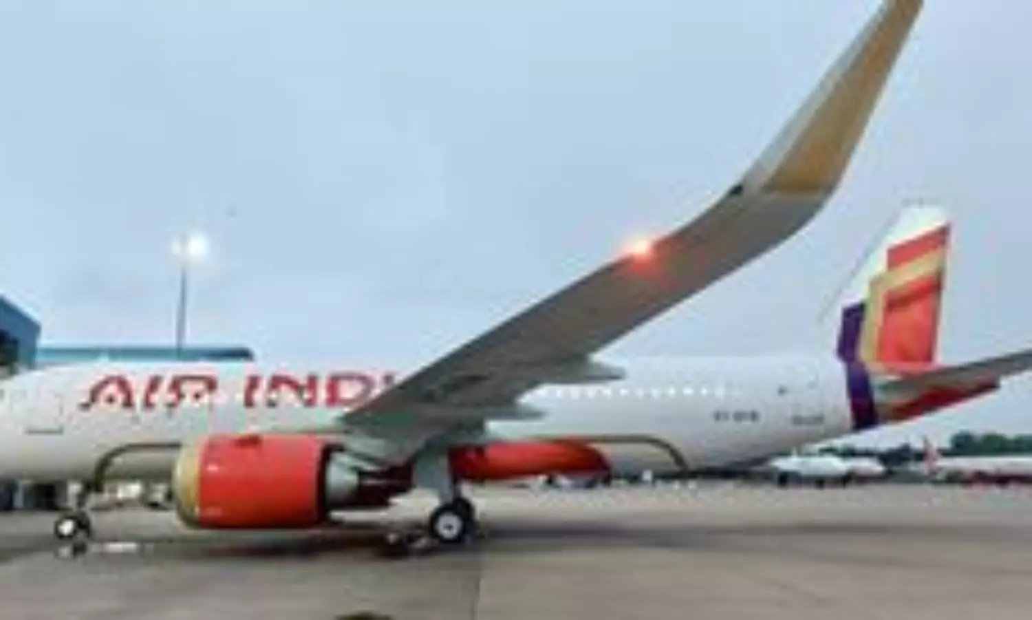 Pilots union seek proper representation of airline employees during probes