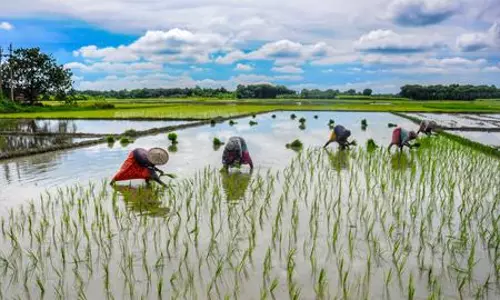 US agri, dairy giants eye Indian market; New Delhi vows to protect farmers’ interests