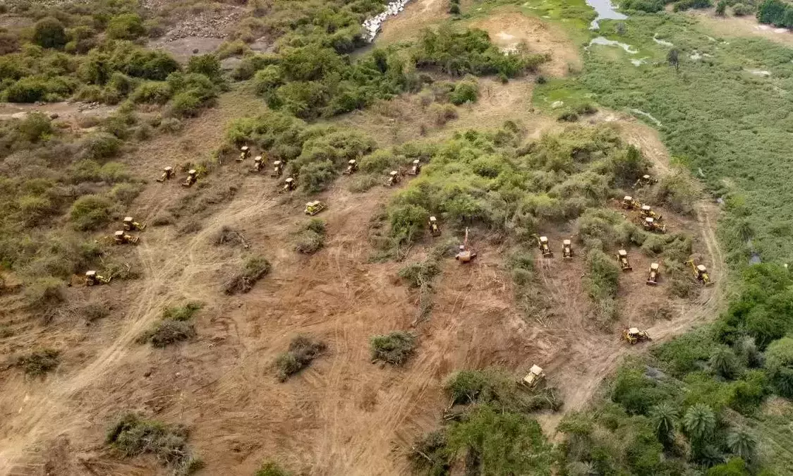 SC orders Telangana to reforest 400 acres in Kancha Gachibowli SC orders Telangana to reforest 400 acres in Kancha Gachibowli