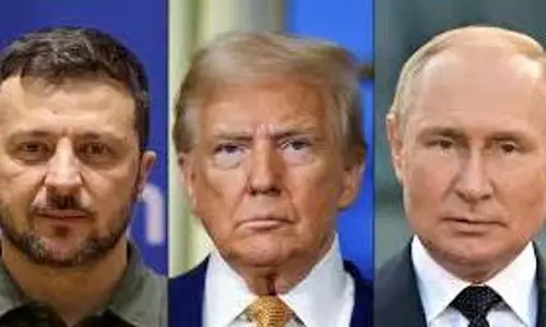 zelensky, trump, putin