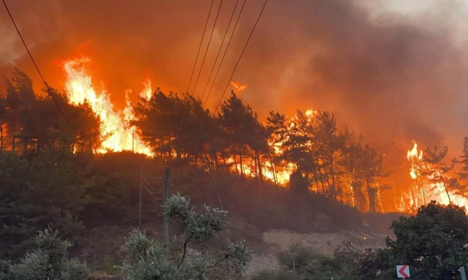 Forest fires in Turkey trigger evacuations in Canakkale and Kocaeli
