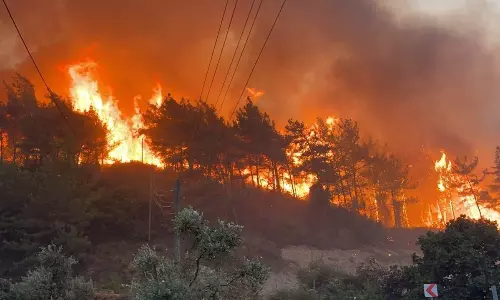Forest fires in Turkey trigger evacuations in Canakkale and Kocaeli