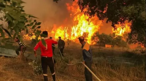 UAE dispatches taskforce to combat Montenegro wildfires UAE dispatches taskforce to combat Montenegro wildfires
