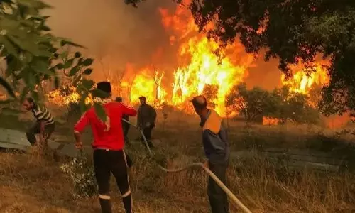 UAE dispatches taskforce to combat Montenegro wildfires