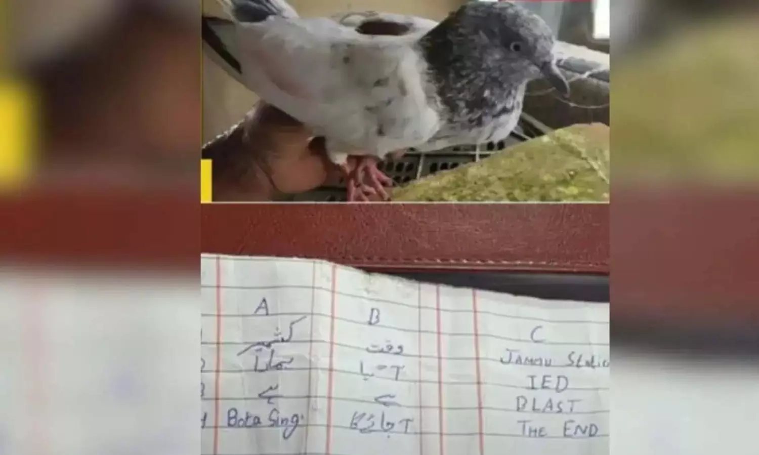 Pigeon carrying threat note puts Jammu railway station on high alert