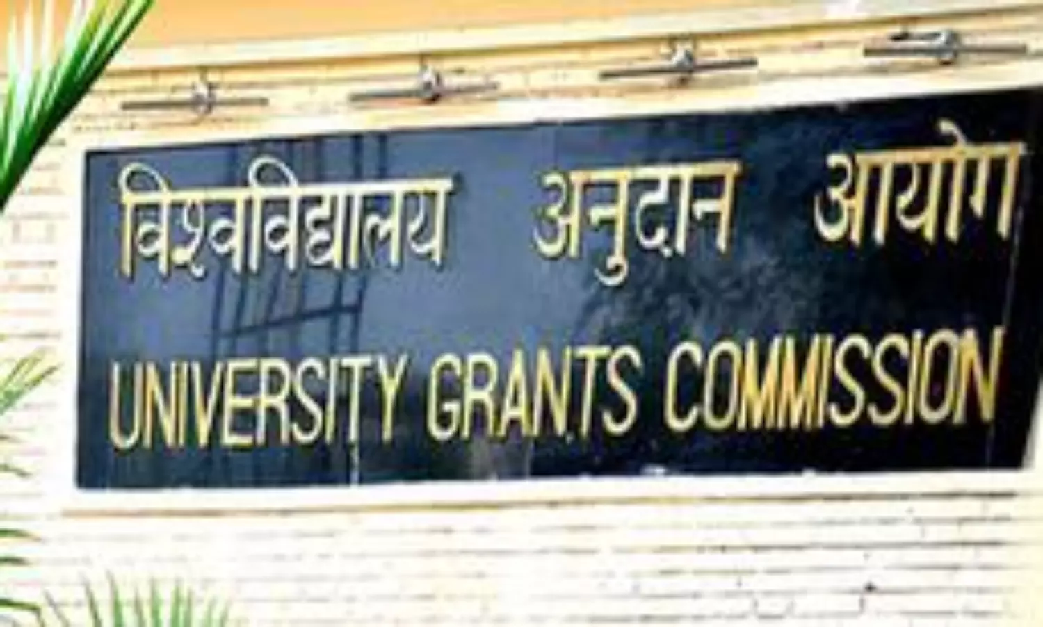 Healthcare and allied fields cant be given in distance, online mode: UGC