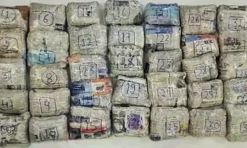 Narcotics worth Rs 11,000 crore seized, most from Gujarat ports, including Adani-run ports