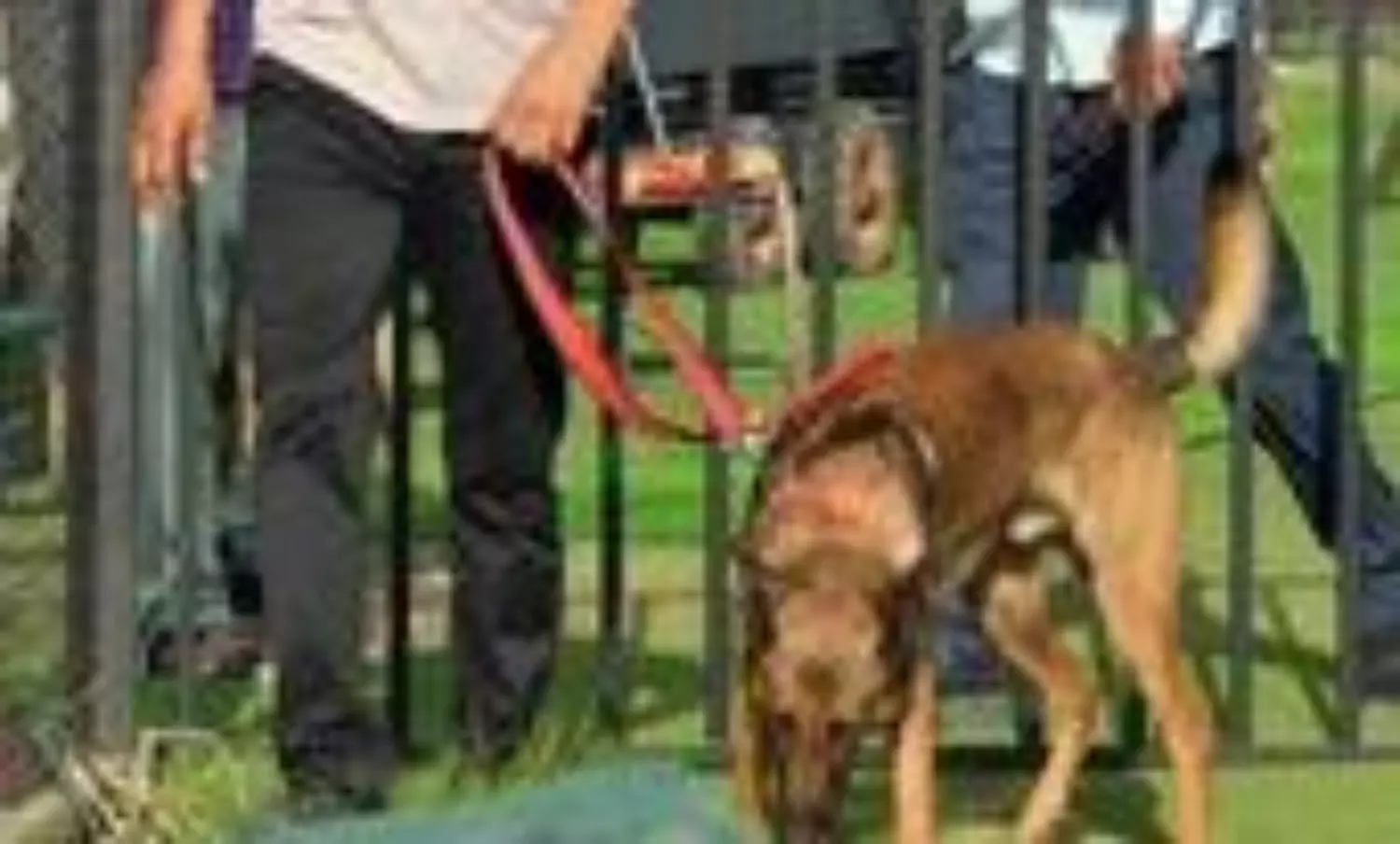 20 Delhi colleges receive bomb threats, searches underway