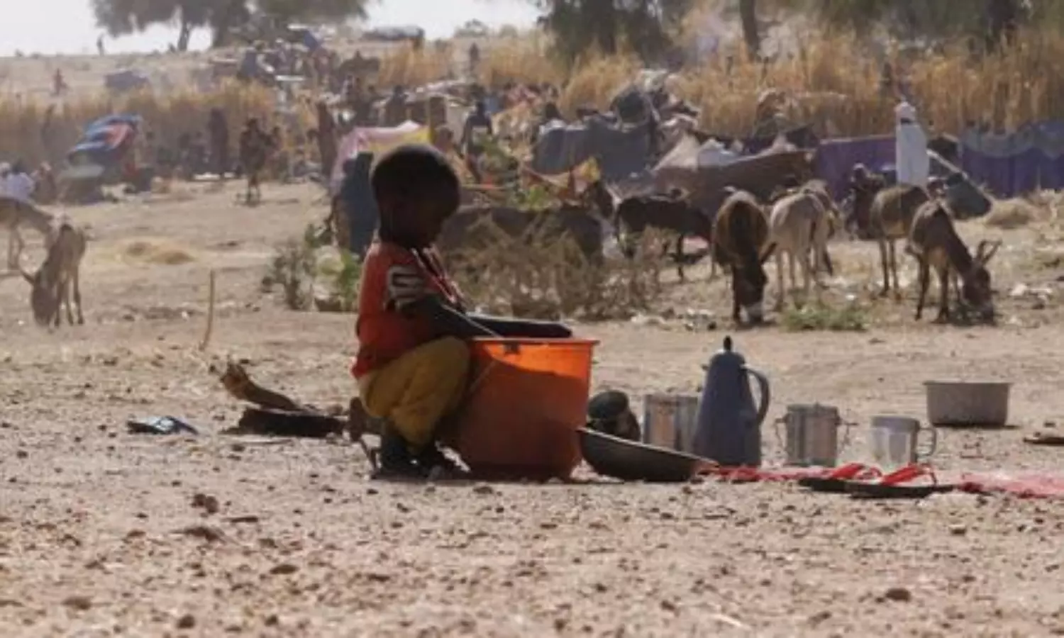 El Fasher in Sudan becomes epicenter of child suffering: UN