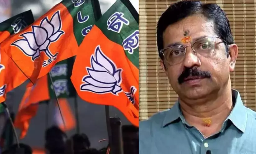 Kerala BJP leader Krishnakumar lied in poll affidavits: ex-BJP leader