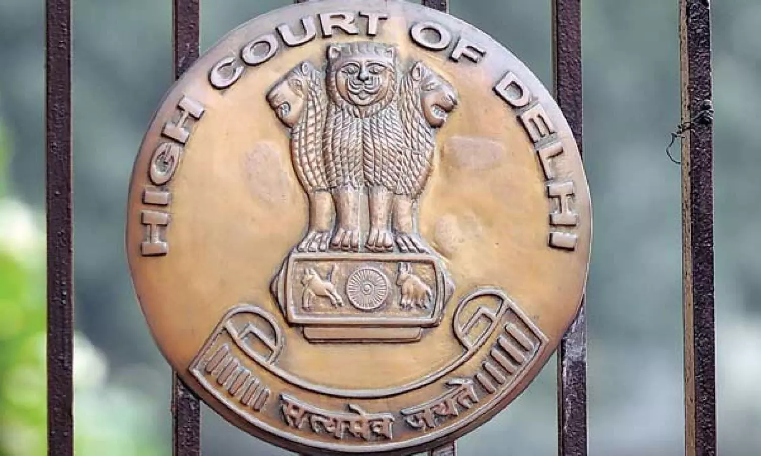 Delhi HC denies bail to 2020 riots accused Tasleem Ahmed