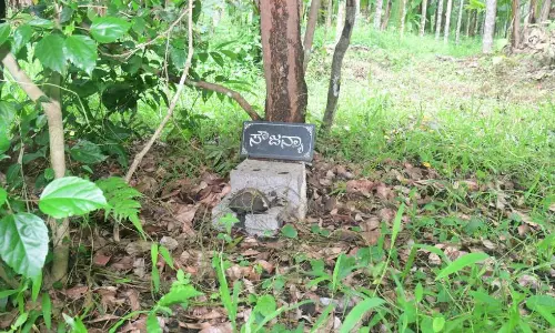 Soujanya murder case in Dharmasthala: Ktaka BJP leaders visit family