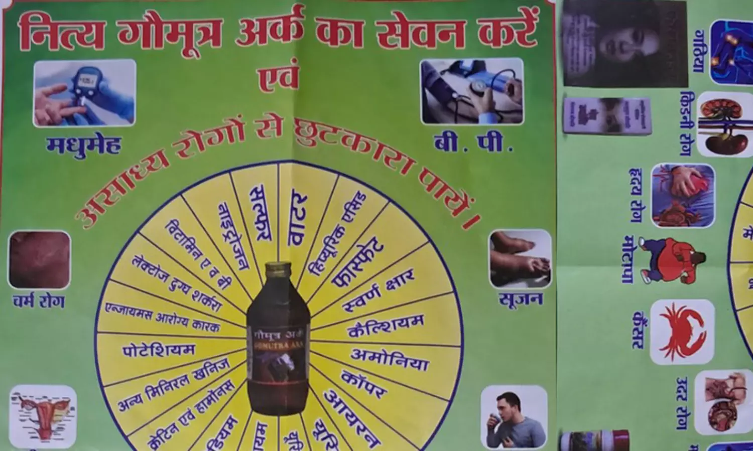 Gau Mahakumbh features cow urine as cure for chronic diseases, claims science not advanced enough