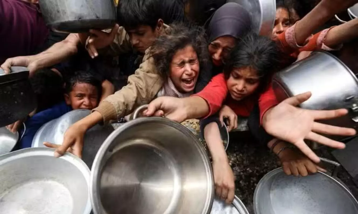 Over 4,000 scientists call on UN and Israel to halt human-made Gaza crisis