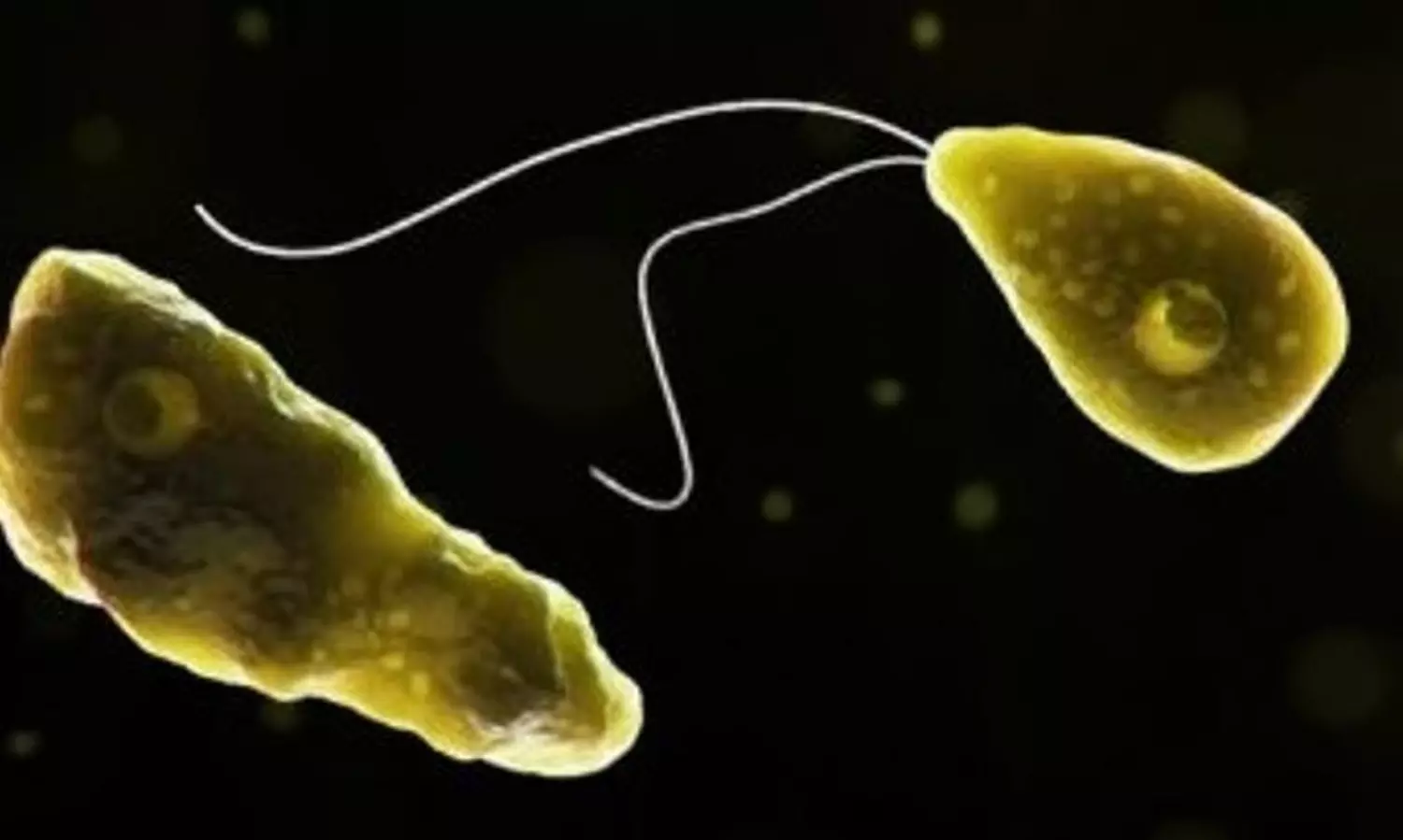 Kerala reports seventh death from amoebic meningoencephalitis, another patient critical