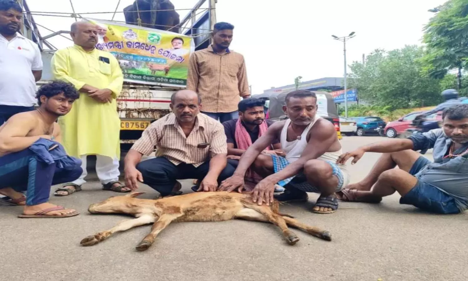 Cow vigilantes in Odisha attack dairy farmers over religious identity