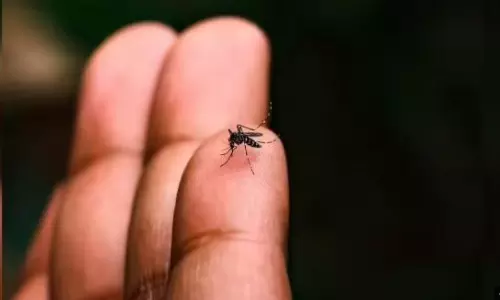 Five deaths: Greece reports 75 West Nile virus infections