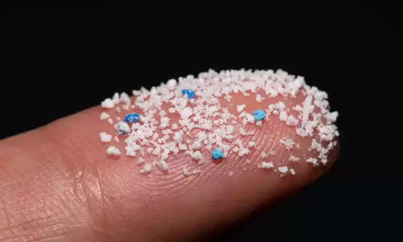 Microplastic exposure may increase Alzheimer’s disease risk: report