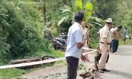 Karnataka woman stabbed by jilted lover after rejecting marriage proposal