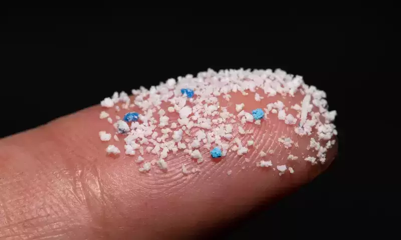 Microplastic exposure may increase Alzheimer’s disease risk: report