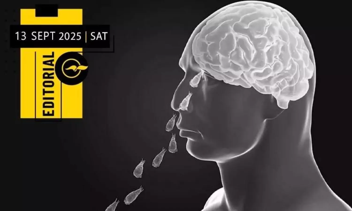 Amoebic meningoencephalitis: Is this vigilance enough?