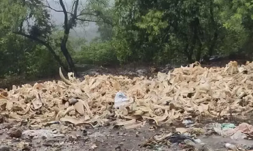 Hate campaign in Karnataka using old visuals of dead remains of cattle