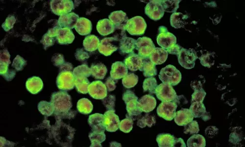 New amoebic meningoencephalitis case in Kerala; this time, Thiruvananthapuram