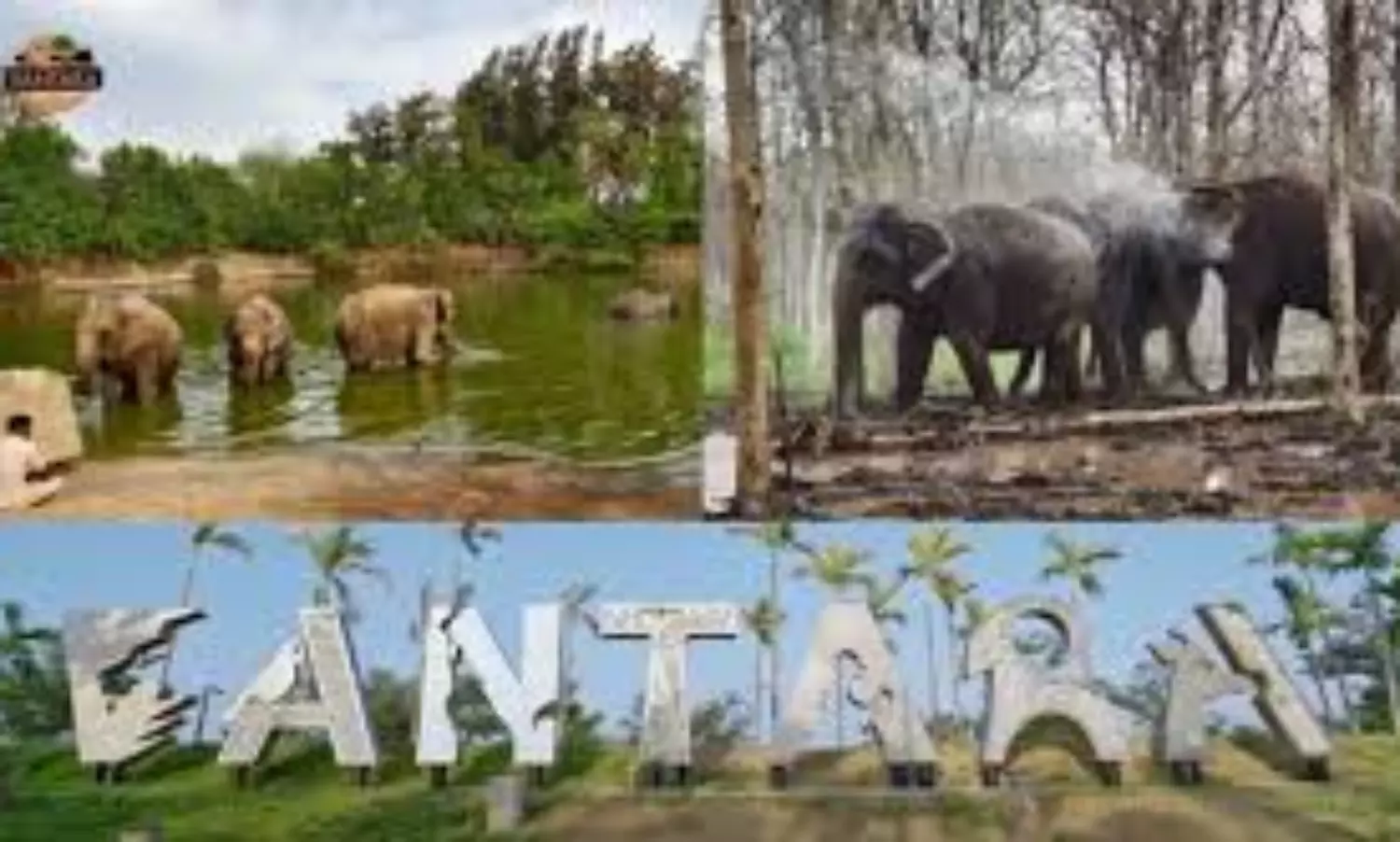 The Vantara story proves judiciary can act fast too