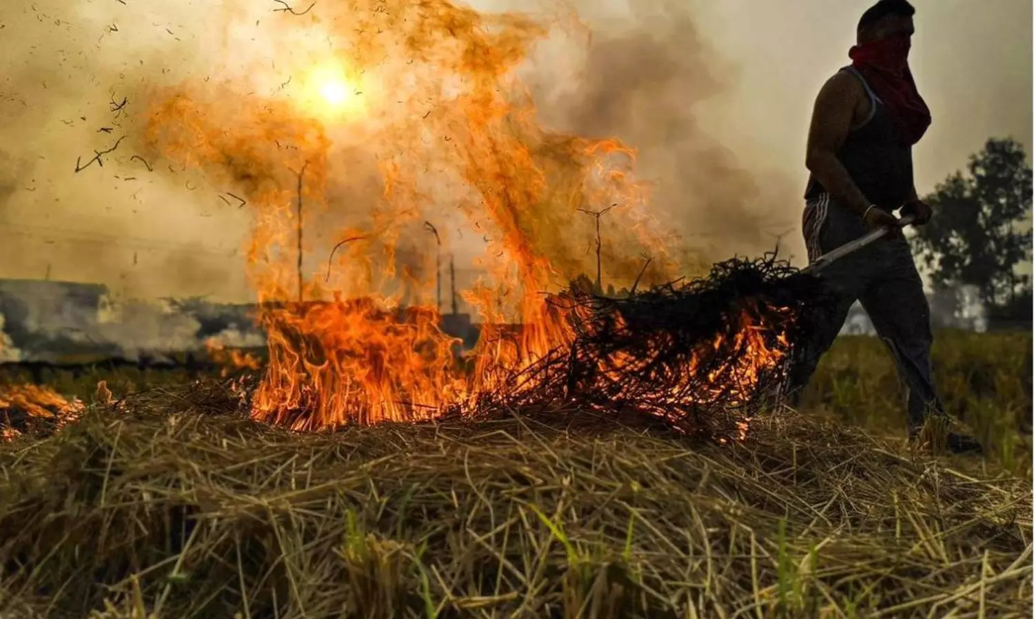 Putting some farmers behind bars will send a message: SC over stubble burning