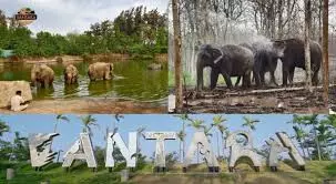 The Vantara story proves judiciary can act fast too The Vantara story proves judiciary can act fast too