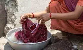 domestic workers domestic workers