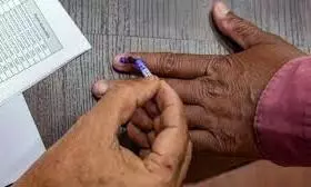 voting voting
